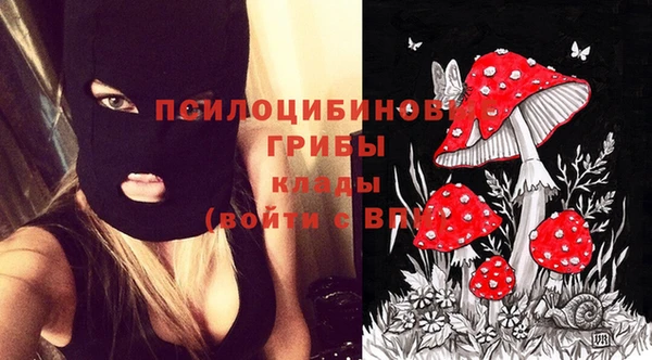 МДПВ Верея