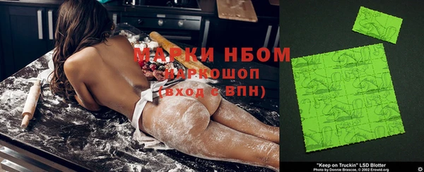 спиды Бородино