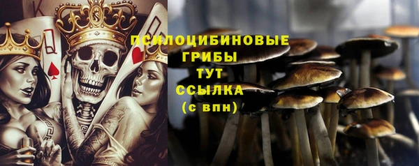 спиды Бородино