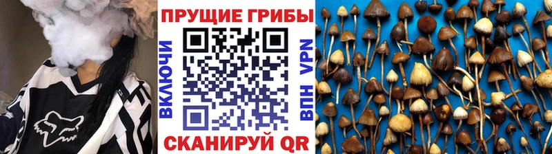 Псилоцибиновые грибы Magic Shrooms  дарнет шоп  Катайск 